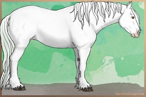 Horse Color:Watercolor Liver Chestnut Ice Pearl Tobiano Appaloosa