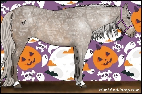 Horse Color:Silver Buckskin Ice Roan Rabicano