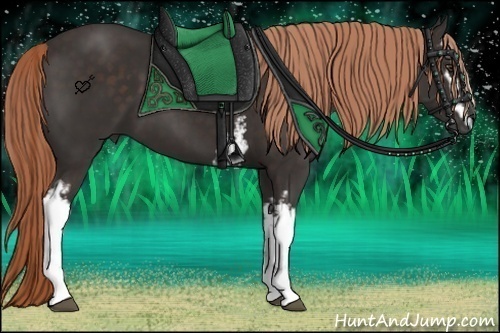 Horse Color:White Spotted Liver Chestnut 