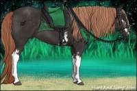 Horse Color:White Spotted Liver Chestnut 