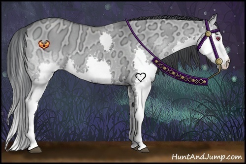 Horse Color:Grullo Chinchilla Ice Roan Splash 