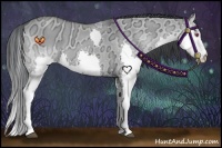 Horse Color:Grullo Chinchilla Ice Roan Splash 