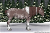 Horse Color:Chocolate Black Ice Tobiano