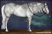 Horse Color:White Spotted Silver Grullo Splash  and White Spotted Silver Grullo Chinchilla Ice Splash 
