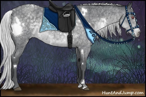 Horse Color:White Spotted Silver Blue Chinchilla Roan 