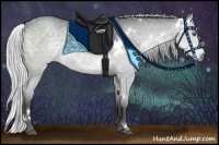 Horse Color:White Spotted Silver Grullo Chinchilla 