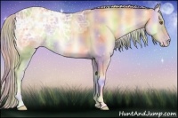 Horse Color:Nacre Gold Cream Champagne Ice Onyx 