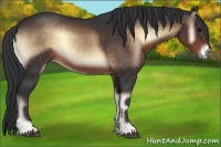 Horse Color:Brown Onyx