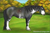 Horse Color:Black Sabino
