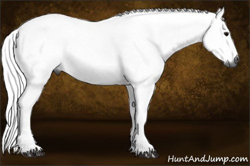Horse Color:Gray Black Tobiano 