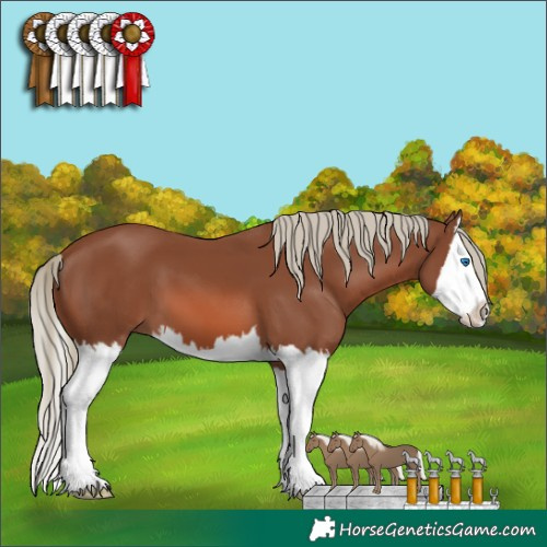 Horse Color:Chestnut Mushroom Splash 