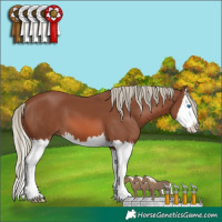 Horse Color:Chestnut Mushroom Splash