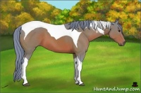 Horse Color:Watercolor Bay Sabino Tobiano