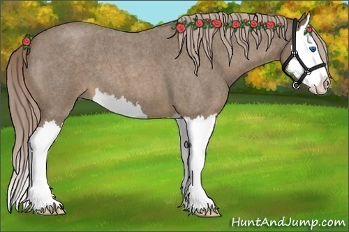 Horse Color:Chocolate Palomino Roan Splash