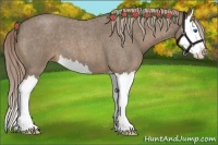 Horse Color:Chocolate Palomino Roan Splash