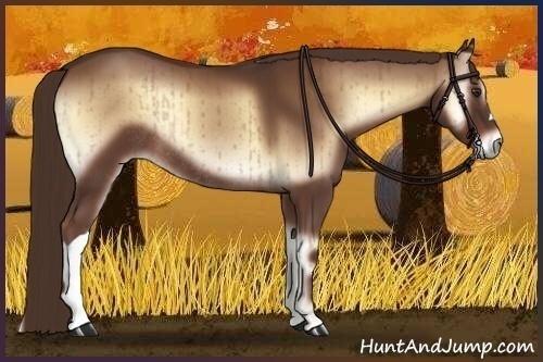 Horse Color:Red Onyx Rabicano Brindle 