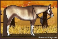 Horse Color:Red Onyx Rabicano Brindle 