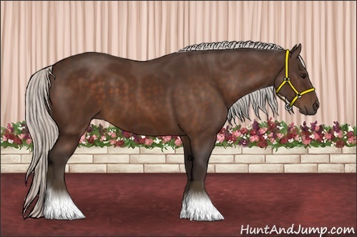 Horse Color:Silver Bay 