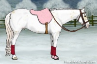 Horse Color:Palomino Dun Sabino 
