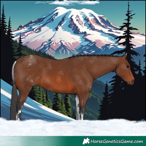 Horse Color:White Spotted Brown 