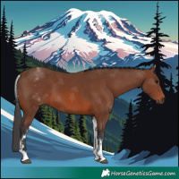 Horse Color:White Spotted Brown 