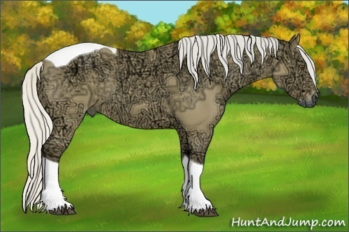 Horse Color:Silver Buckskin Ice Dun Tobiano 