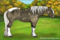 Horse Color:Silver Buckskin Ice Dun Tobiano 
