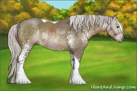 Horse Color:White Spotted Silver Smoky Black Tobiano 