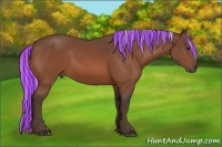 Horse Color:Painted Silver Bay Sabino