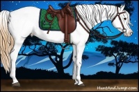 Horse Color:Smoky Black Appaloosa 