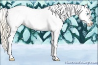 Horse Color:Smoky Creme Appaloosa 