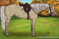Horse Color:Silver Grullo 