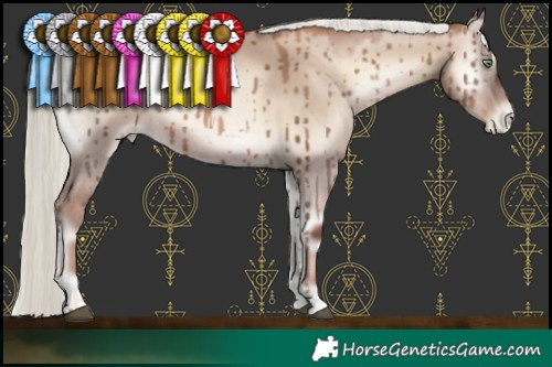 Horse Color:Liver Red Dun Pearl Onyx Mushroom Rabicano Brindle 