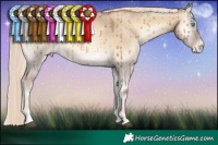 Horse Color:Liver Red Dun Snowdrop Pearl Onyx Mushroom Rabicano Brindle 