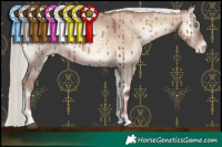 Horse Color:Liver Red Dun Pearl Onyx Mushroom Rabicano Brindle 