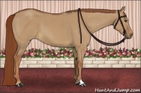 Horse Color:Red Dun Brindle 