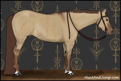 Horse Color:Liver Red Dun Rabicano Brindle 