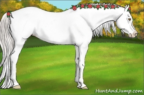 Horse Color:White Spotted Silver Brown Snowflake Varnish