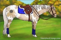 Horse Color:White Spotted Silver Black Pearl Rabicano 