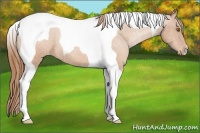 Horse Color:Brown Pearl Tobiano Varnish 