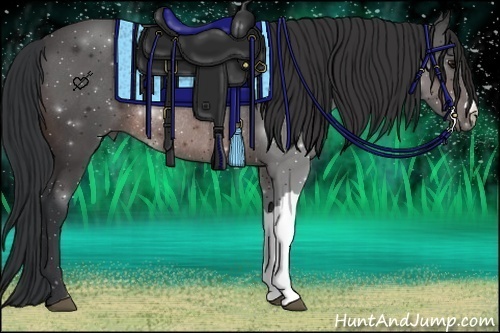 Horse Color:Brown Rabicano 