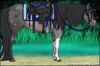 Horse Color:Brown Rabicano