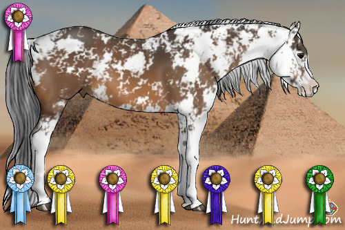 Horse Color:Buckskin Sabino 