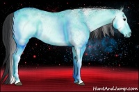 Horse Color:White Spotted Black 