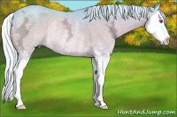 Horse Color:Watercolor Silver Bay Chinchilla Ice Sabino Splash Rabicano