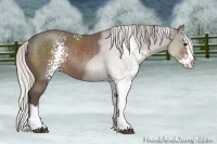 Horse Color:White Spotted Silver Black Sabino Splash 