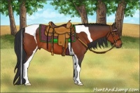 Horse Color:Bay Tobiano 