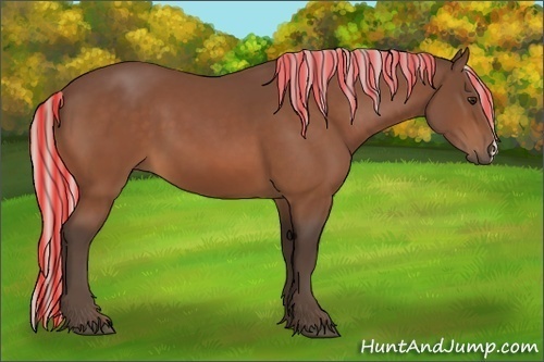 Horse Color:Painted Silver Bay 