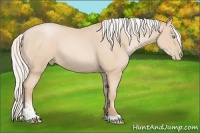 Horse Color:Silver Buckskin Pearl Sabino 