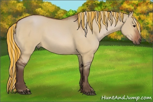 Horse Color:Painted Silver Bay Dun